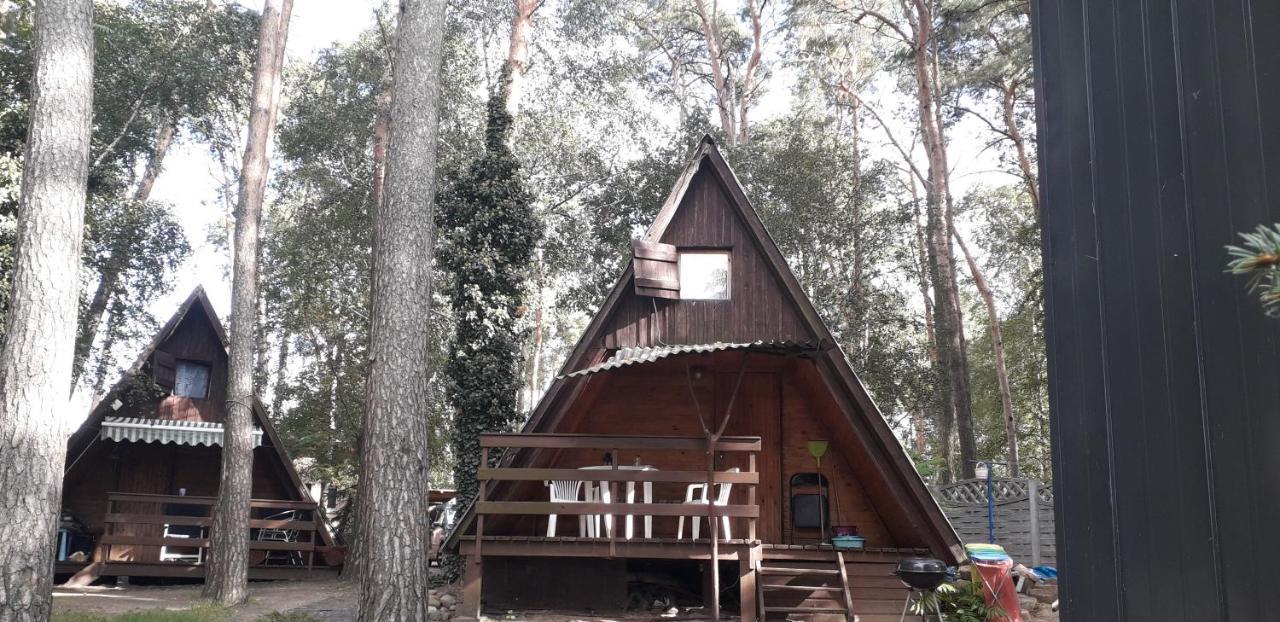 Villa Ostoja Slesin Extérieur photo
